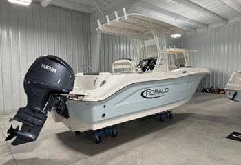 2025 Robalo R202 Explorer Ice Blue/White Boat